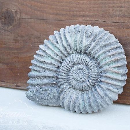 Ammonite Cottage Portland Exterior foto